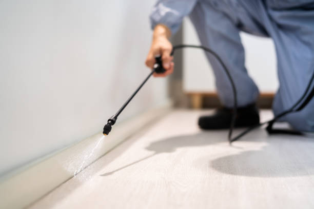 Licensed Mosquito Control service in Van Buren, AR - Show Me Pest Control