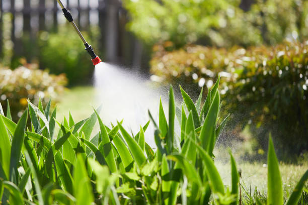 24/7 Emergency Mosquito Control experts in Van Buren, AR
