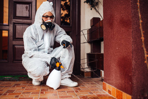 Reliable Mosquito Control contractor in Van Buren, AR by Show Me Pest Control